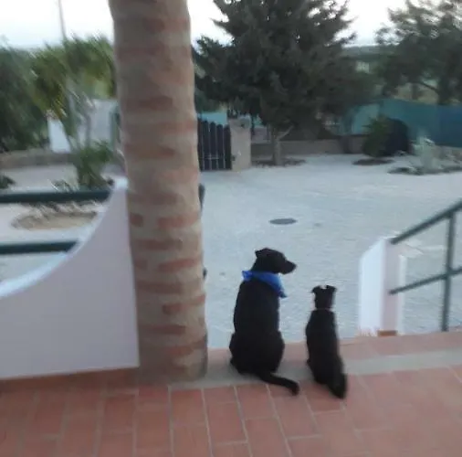 Local Patudos, Com Terraco Privado 3* טאווירה